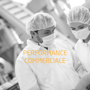 Formations performance commerciale